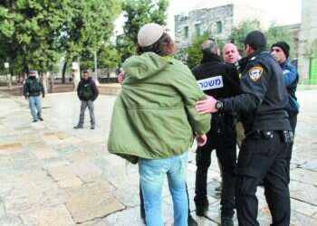 צילום: באדיבות חוננו