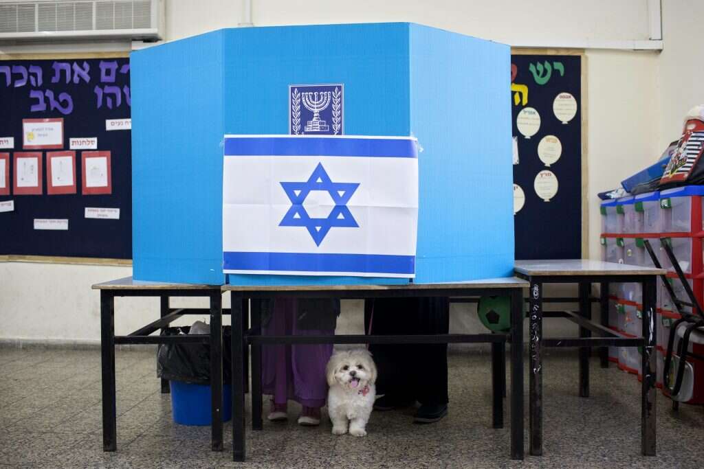 צילום: AP