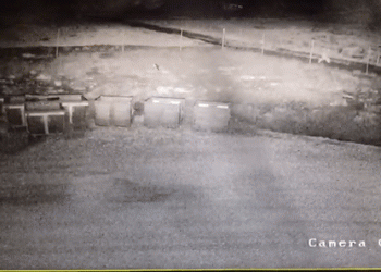 "דמי שמירה" או נזק מכוון: "לא נשלם לארגוני פשיעה"