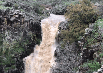 צילום: הדר ארצי רשות הטבע והגנים