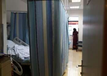 צילום: אנצ'ו גוש, ג'יני