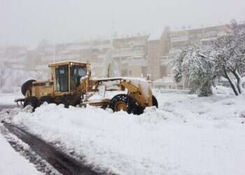 צילום: ינון בן שושן