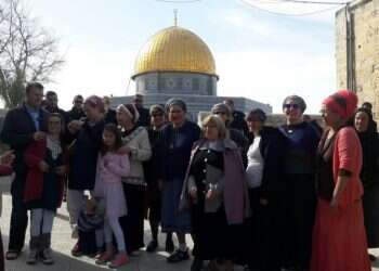 צילום: ארנון סגל