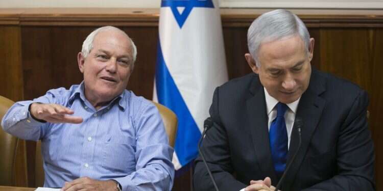 ראש הממשלה נתניהו והשר חיים כץ. צילום: אוליבייה פיטוסי 
 צילום: אוליבייה פיטוסי