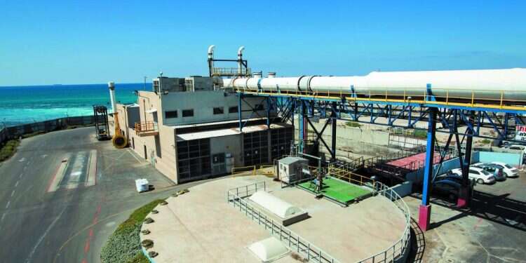 צילום: מישל דוט קום