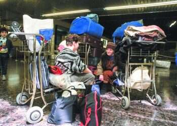 צילום: נתן אלפרט