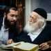הרב חיים קנייבסקי ונכדו ינקי. צילום: אריק סולטן צילום: אריק סולטן