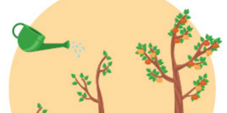 צילום: שאטרסטוק