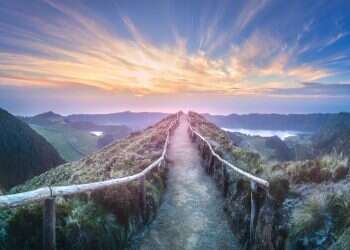 צילום: שאטרסטוק