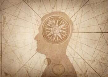 איור: שאטרסטוק