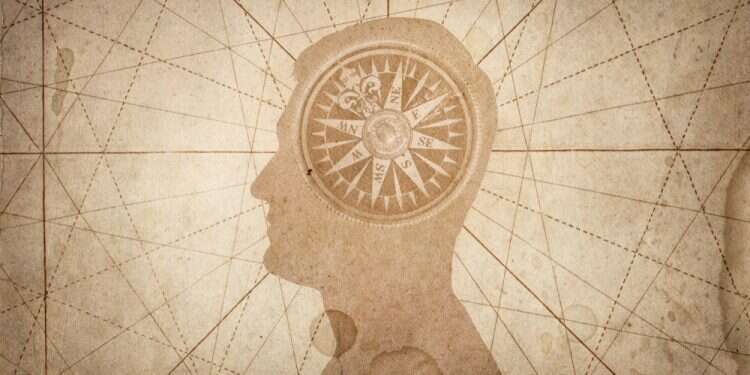 איור: שאטרסטוק