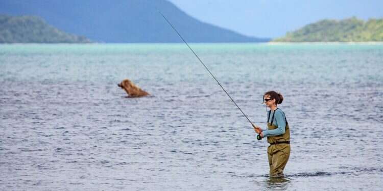 מתמודדת בגבורה עם חכות, פיתיונות וניקוי הדגים. דייג במפלי ברוקס, אלסקה, 2018. צילום: שאטרסטוק צילום: שאטרסטוק