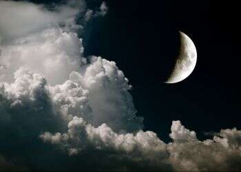 צילום: שאטרסטוק