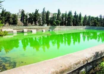 צילום: שאטרסטוק