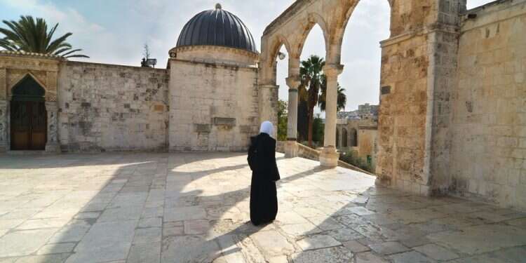 צילום: שאטרסטוק