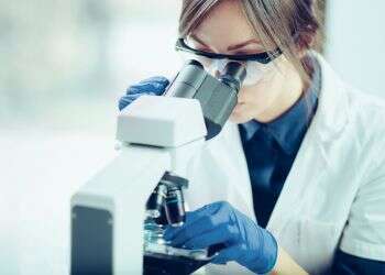 צילום: שאטרסטוק