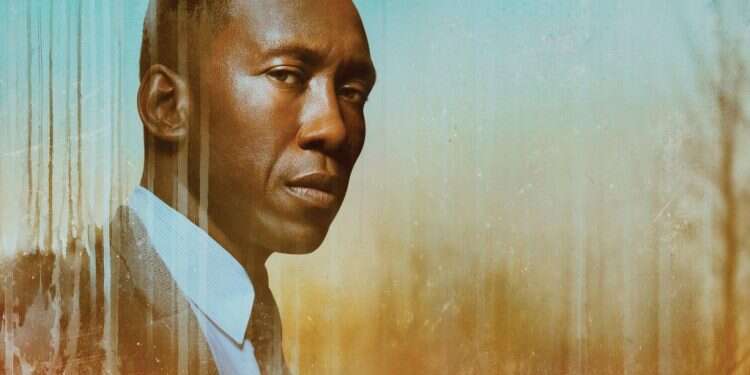 צילום: באדיבות הוט