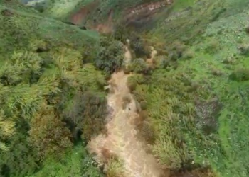 צילום: עמיר אלוני, רשות הטבע והגנים