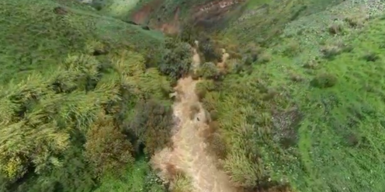 צילומי רחפן זרימות הנחלים לכינרת. ירדן משושים דליות
צילום: עמיר אלוני, רשות הטבע והגנים צילום: עמיר אלוני, רשות הטבע והגנים