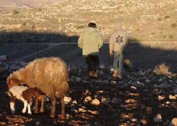 צילום: מרים צחי