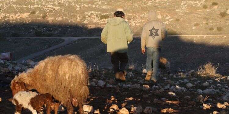 נערי גבעות. צילום: מרים צחי צילום: מרים צחי