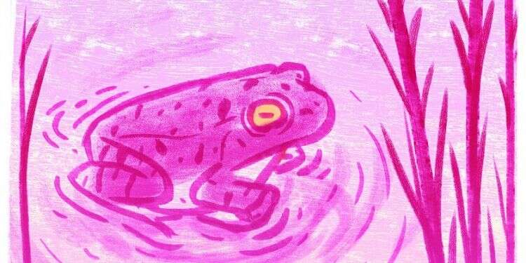 איור: מנחם הלברשטט