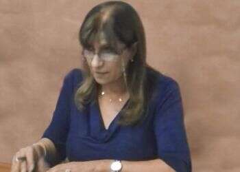 מרצה באוני' העברית: ישראל משתמשת בילדים פלסטינים כדי למכור נשק