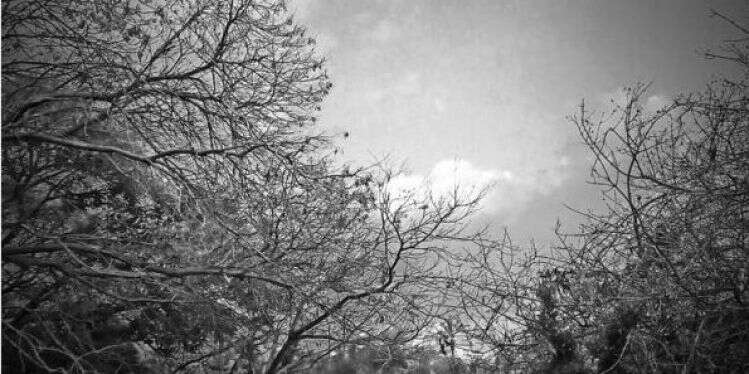 ההיעדר יוצר נוכחות גדולה יותר. 'נופשמים נופארץ', הדסה שרשבסקי, מוצג בתערוכה 'לתלפיות', גלריית אורייתא' 2018 המפגש בין מורה לתלמיד כעיקר החסידות