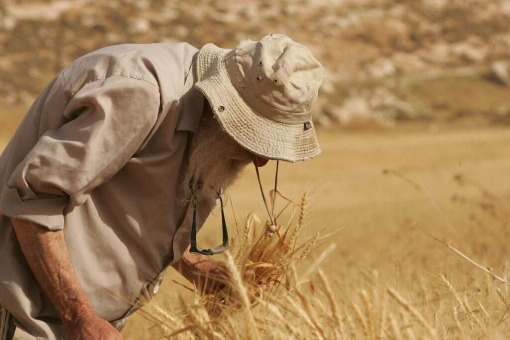 צילום: מרים צחי