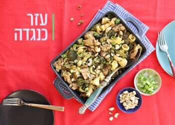 צילום: אפרת ליכטנשטט