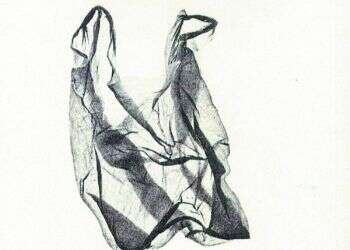 כשספר עולה על סך החוויות שחוללו אותו