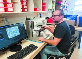 צילום: רבקה חזן