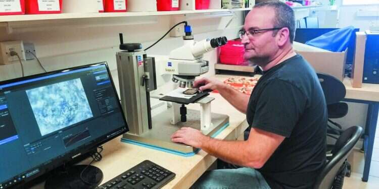 צילום: רבקה חזן