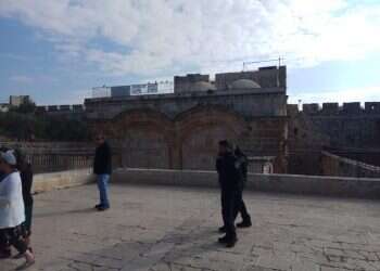 צילום: ארנון סגל