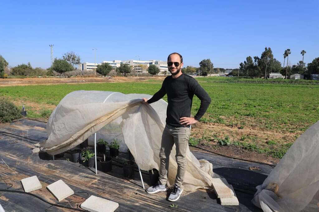 האיש שהציל מהכחדה את צמחי ארץ ישראל מקור ראשון