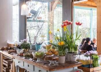 צילום: אבישג שאר-ישוב