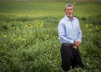 צילום: יונתן זינדל, פלאש 90