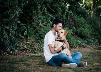 צילום: אבישג שאר-ישוב