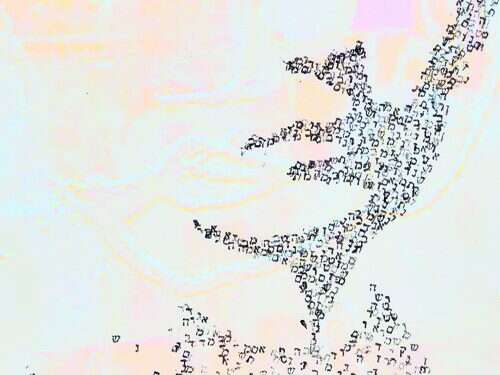 כיצד משנה הספרות את האדם ואת ההיסטוריה?