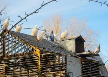 צילום: שאטרסטוק