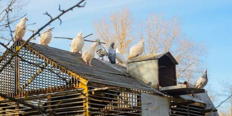 צילום: שאטרסטוק צילום: שאטרסטוק