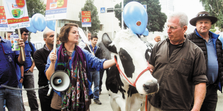 צילום: רוני שיצר, פלאש 90