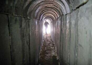 צילום: אדי ישראל