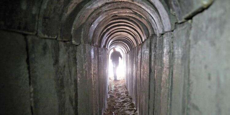 מנהרת תופת מעזה שנחשפה ב-2013. צילום: אדי ישראל צילום: אדי ישראל