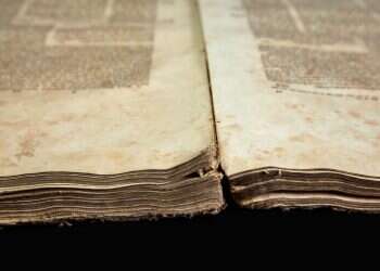 צילום: שאטרסטוק