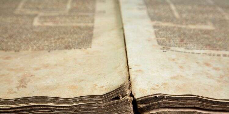 צילום: שאטרסטוק