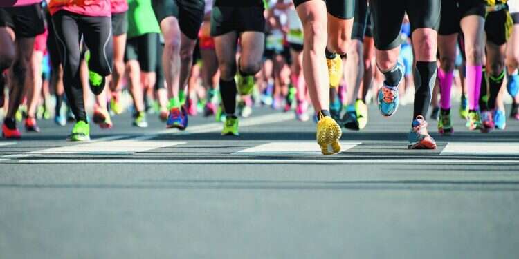 צילום: שאטרסטוק צילום: שאטרסטוק