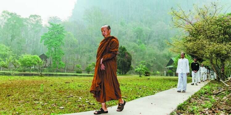 הבודהה אומר לנו: הגוף הזה הוא לא אתה. ויפאסאנה. צילום: שאטרסטוק צילום: שאטרסטוק