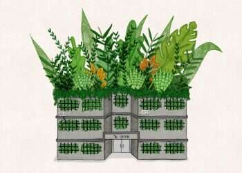 איור: שרון ארדיטי