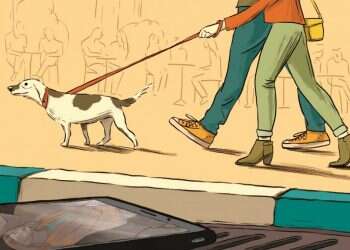 איור: מורן ברק